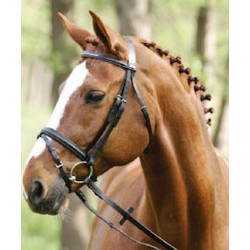 CABEZADA  PONY STÜBBEN MARRÓN
