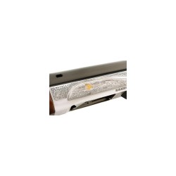 RIFLE  BENELLI PASION MK2 C/12