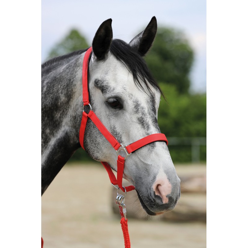 CABEZADA HKM STARS ROJO  6613 COB