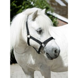 CABEZADA MINI PONY (MINI SHETLAND)