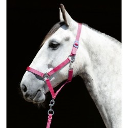 CABEZADA PONY SHETLAND STARS ECONOMY