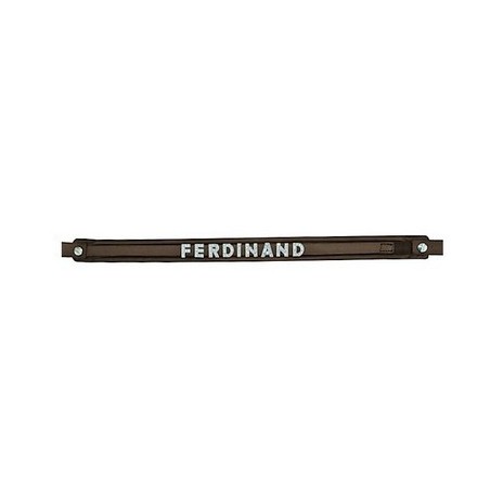 FRONTALERA PARA LETRAS 