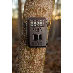 CAMARA TROPHY CAM MARRON 